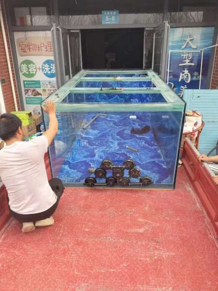 北京搬家現場圖片